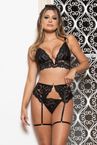 FRUIT_SF_32174